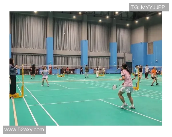 赛后分析：北京羽毛球队与南京羽毛球队的默契配合与战术探讨